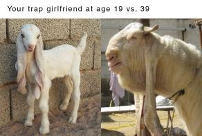 goats meme trap // 1080x731 // 543.0KB